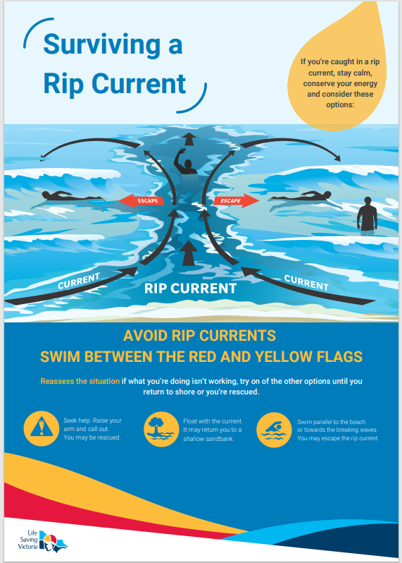 Surviving a Rip Current - Safety Guide A1 Educational Poster | Beach Survival Tips, Ocean Safety Awareness for Swimming & Surfing