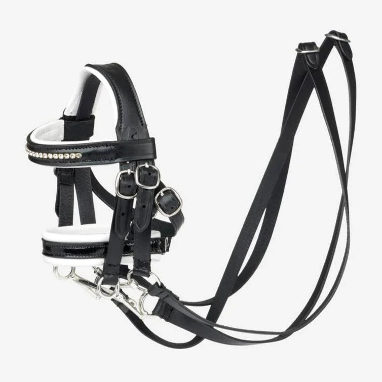 LeMieux Toy Pony Double Dressage Bridle - Premium Horse Riding Equipment for Dressage Training & Show Jumping | Perfect for Kids & Small Ponies