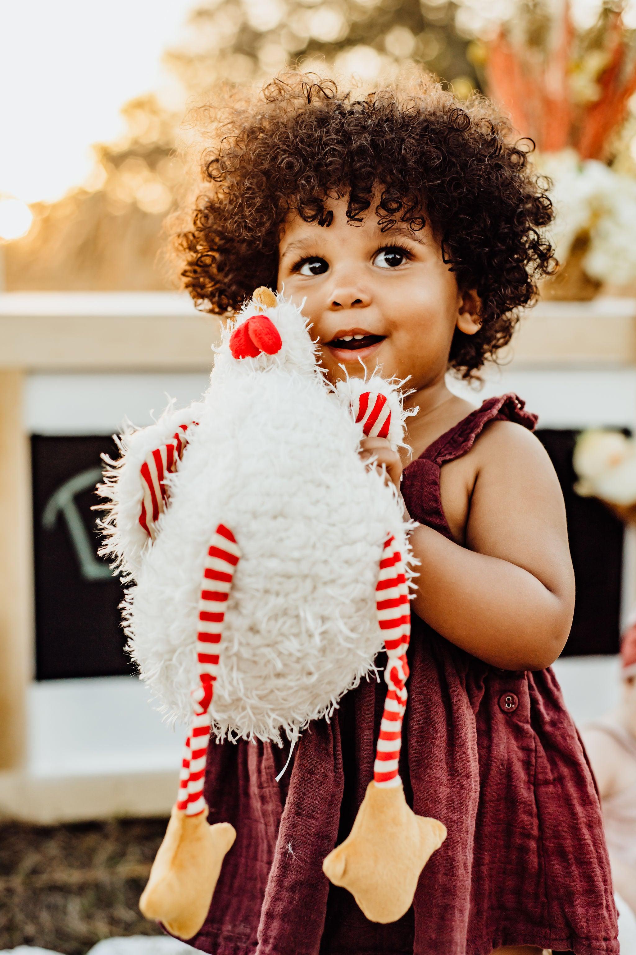 Clucky Book Bundle - Fun & Educational Children's Books for Early Learning | Perfect for Bedtime Stories, Classroom Reading & Gift Giving