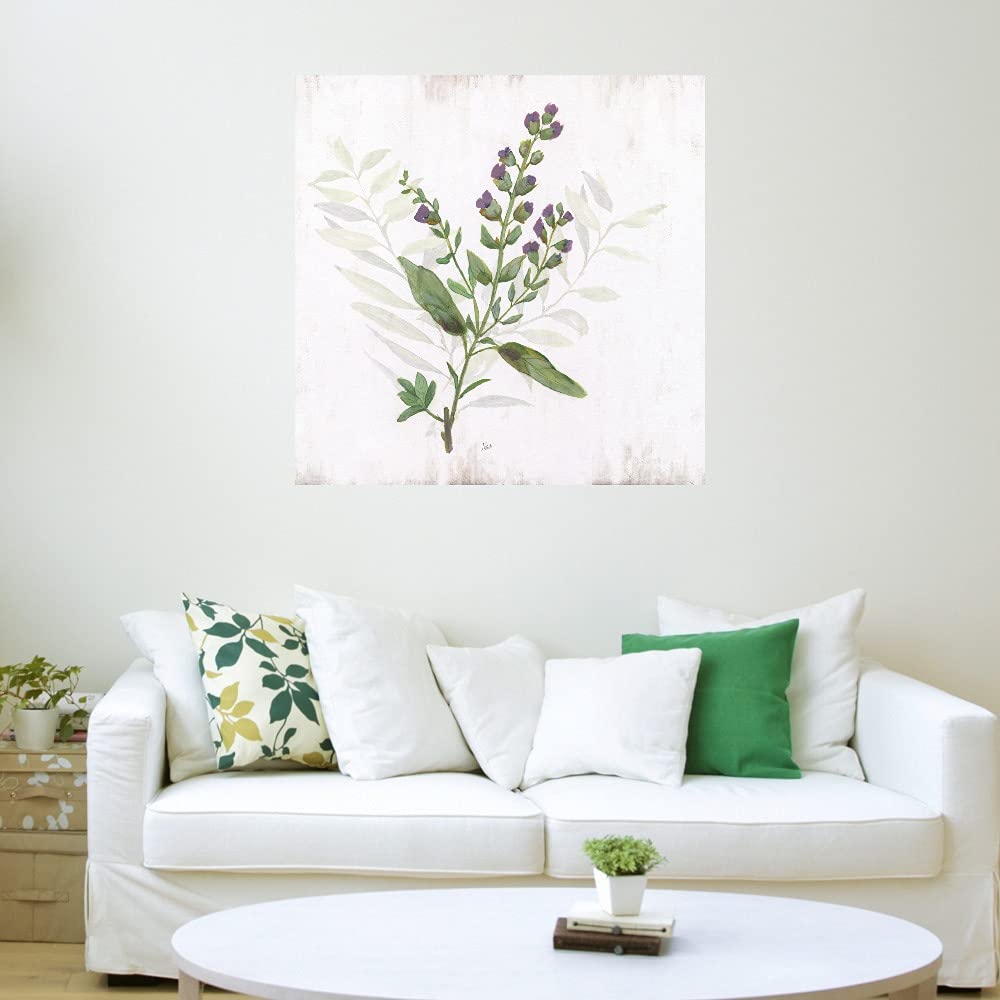 Kitchen Garden II Canvas Wall Art - 32x32 Inch Ready to Hang Fine Art Print by Artist Nan - Perfect for Living Room, Bedroom, Bathroom, Kitchen, Office, Bar & Dining Room Decor - Modern Home & Office Wall Decor