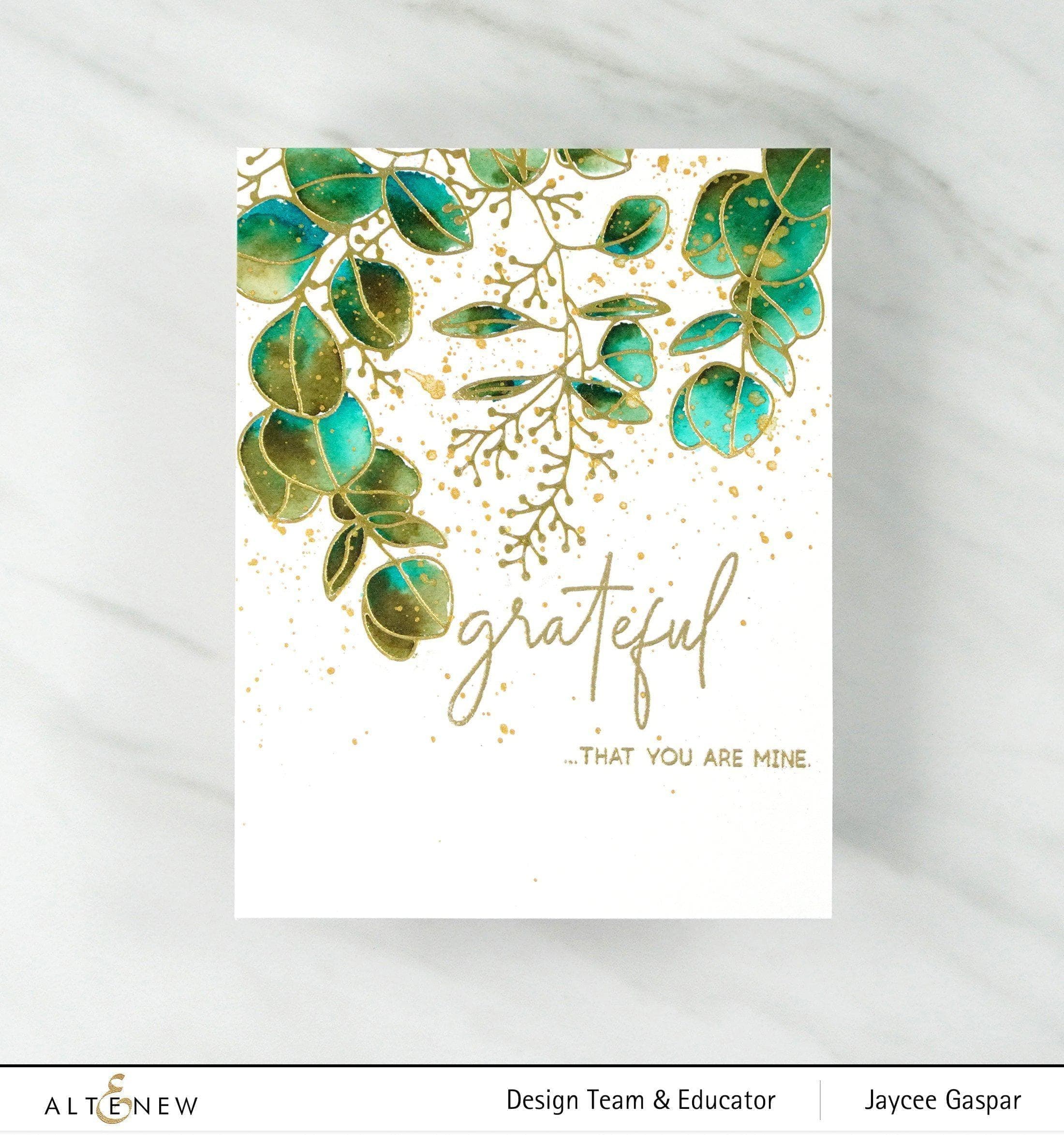 Inside and Out: Thank You Stamp Set for DIY Greeting Cards, Scrapbooking & Craft Projects