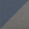 Blue/Gray