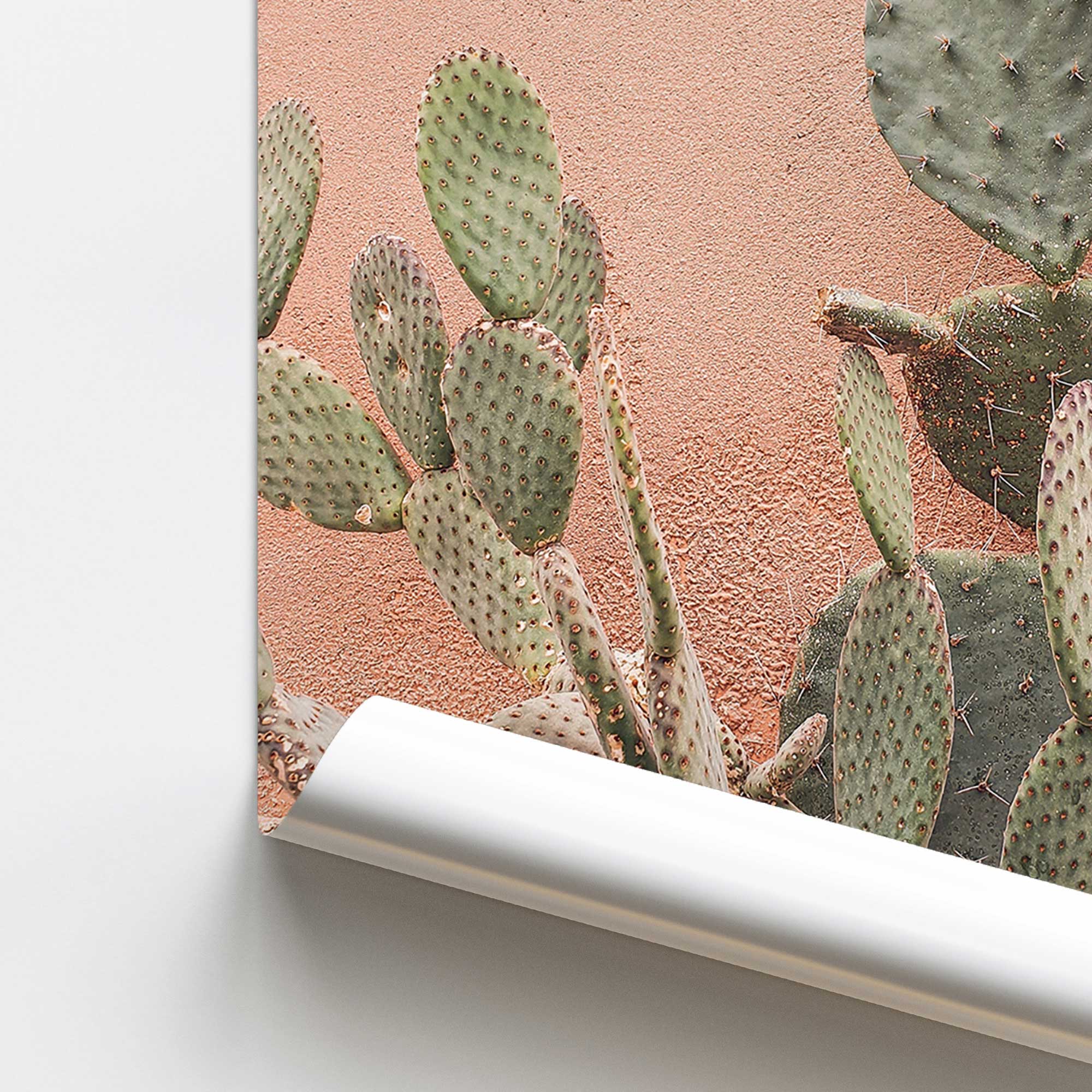 Desert Flora Rolled Canvas Print - Botanical Wall Art for Home & Office Decor | Perfect for Living Room, Bedroom, or Gift