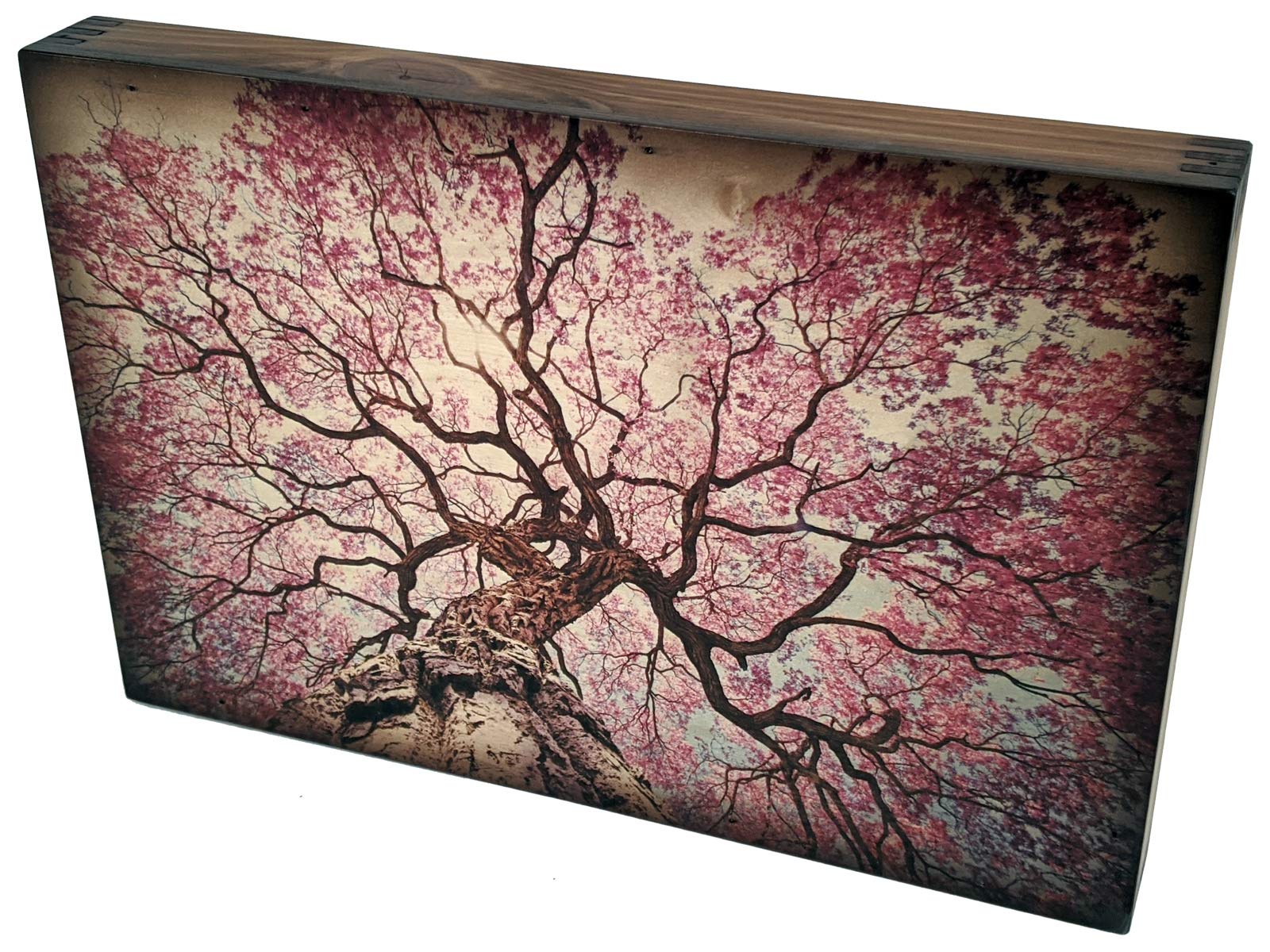 Handmade Lapacho Tree in Bloom Wall Art - Natural Wooden Home Decor for Living Room, Bedroom & Office