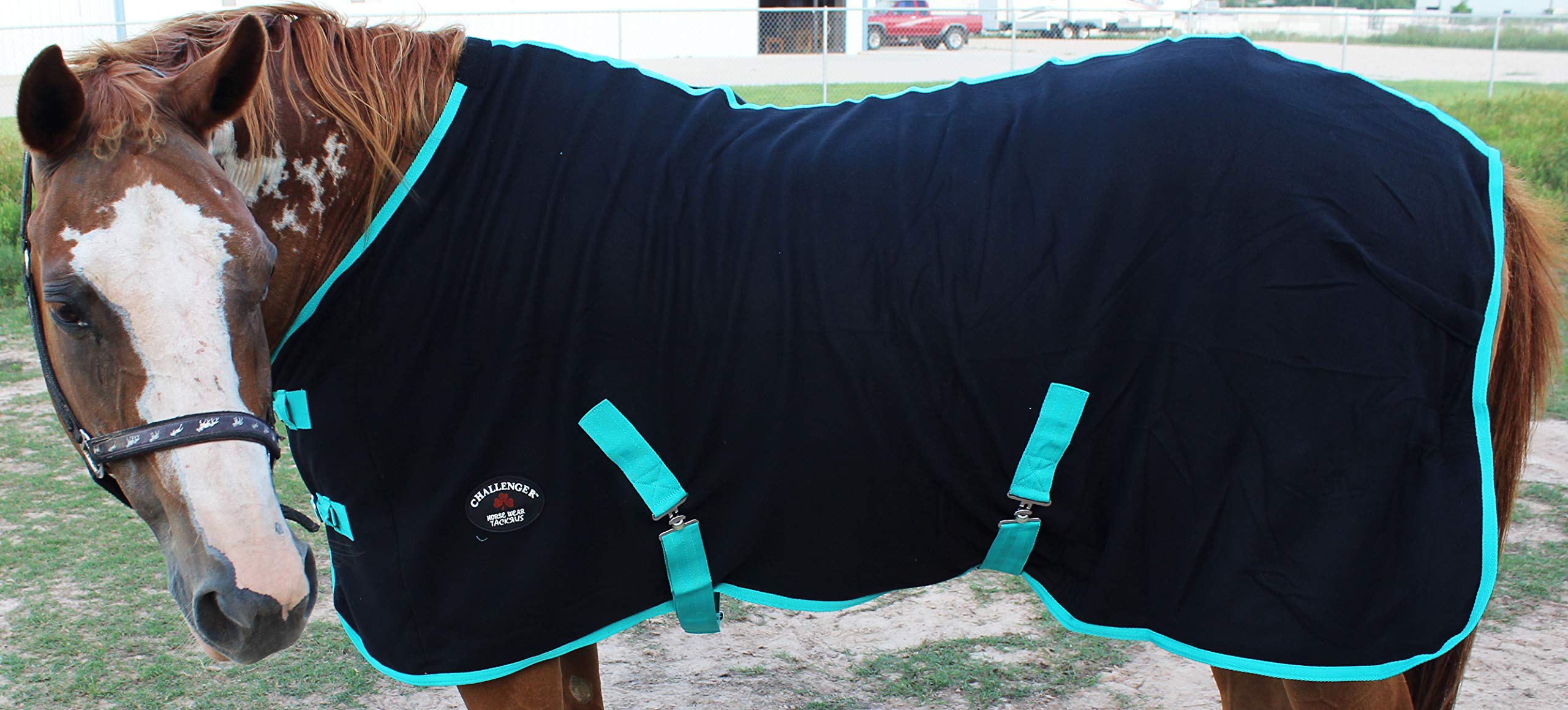 Premium Horse Exercise Sheet - Polar Fleece Cooler Blanket for Moisture Wicking & Temperature Regulation - Turquoise Blue 4350 - Ideal for Post-Workout Cooling & Stable Use