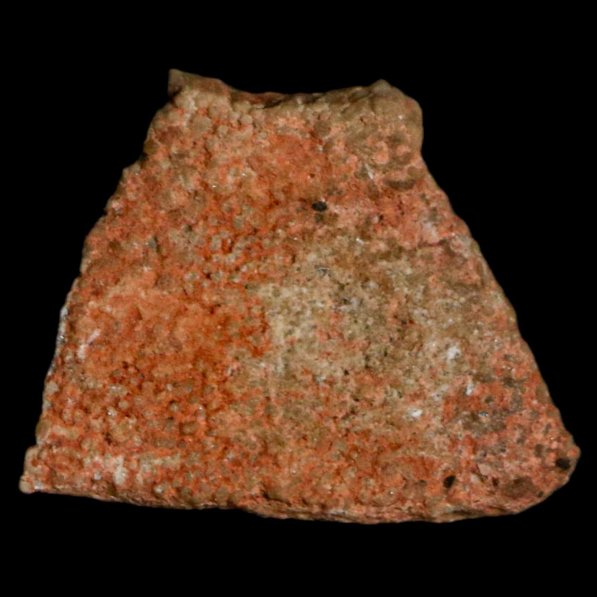 0.5 Megaloolithus Titanosaur Dinosaur Fossil Egg Shell from Bouches-du-Rhône, France - Rare Collectible Display Piece for Paleontology Enthusiasts & Museum-Quality Home Decor