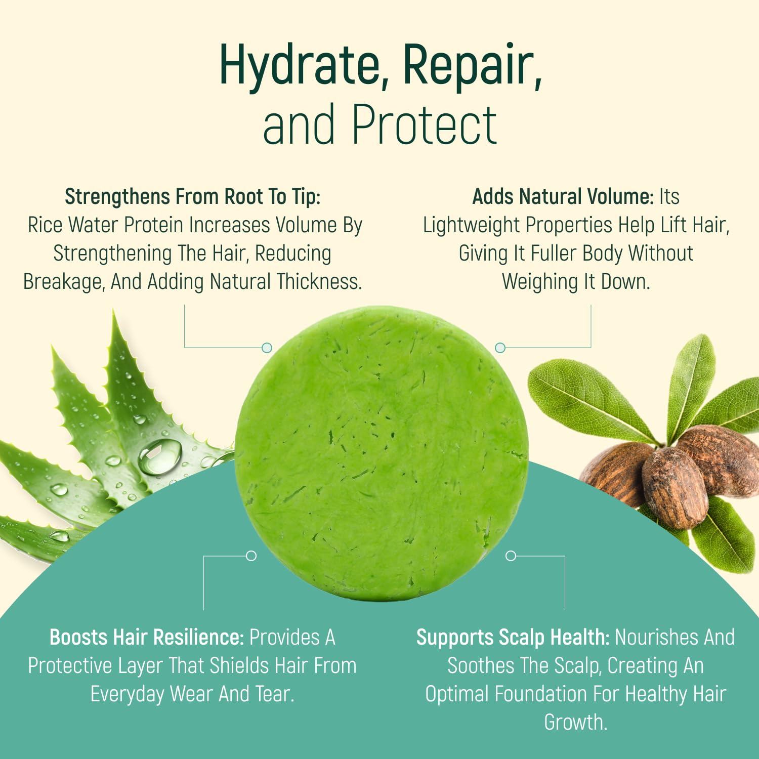 Solid Rice Protein Shampoo Bar with Conditioner - All Natural Plant-Based Essential Oils, Zero Waste Packaging (Aloe Vera) - Ideal for Travel, Camping & Eco-Friendly Hair Care