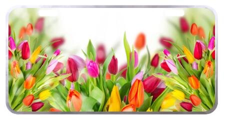 Vintage Tulip Flower Car License Plate Cover - Decorative Front Plate 6.1