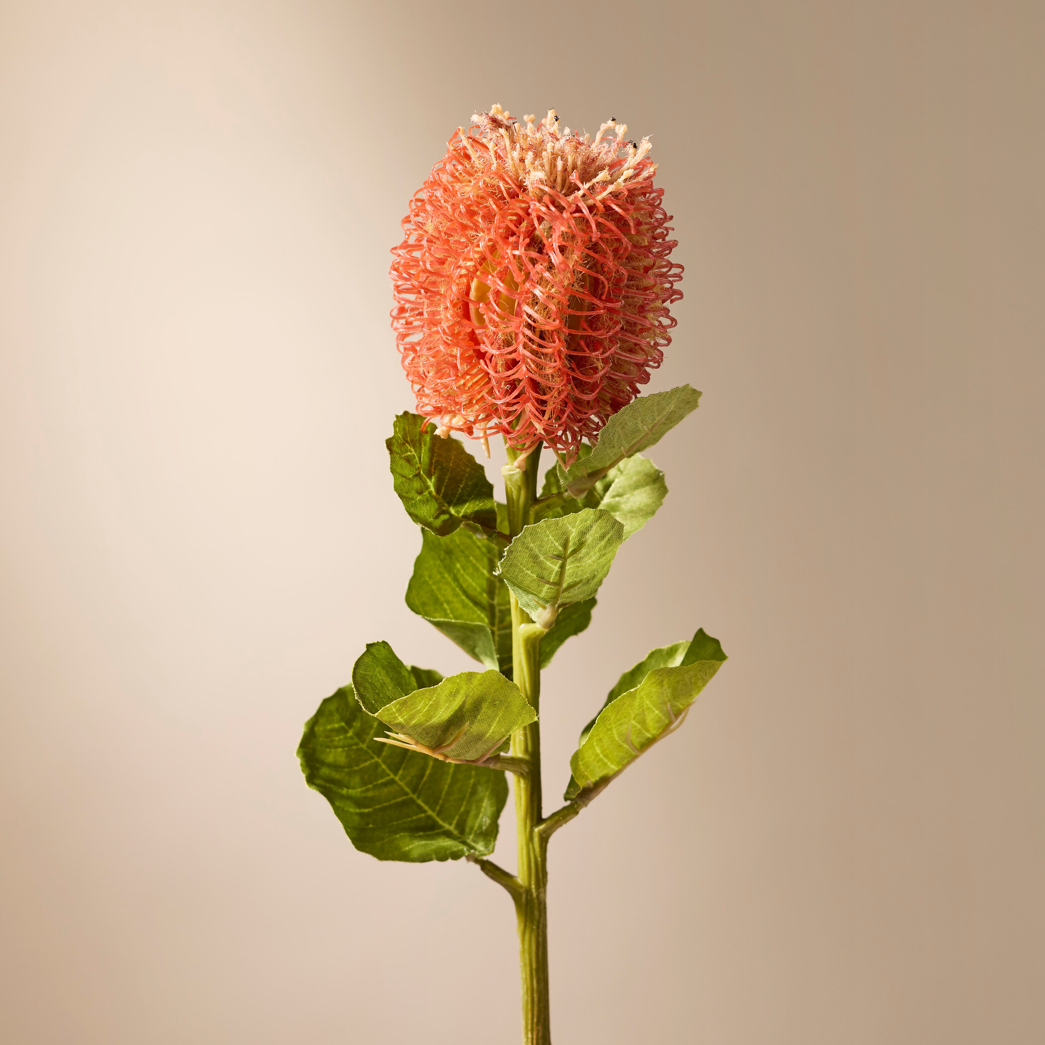 Artificial Grand Banksia Flower Stems - Orange 60cm for Home Decor, Wedding Bouquets, and Floral Arrangements