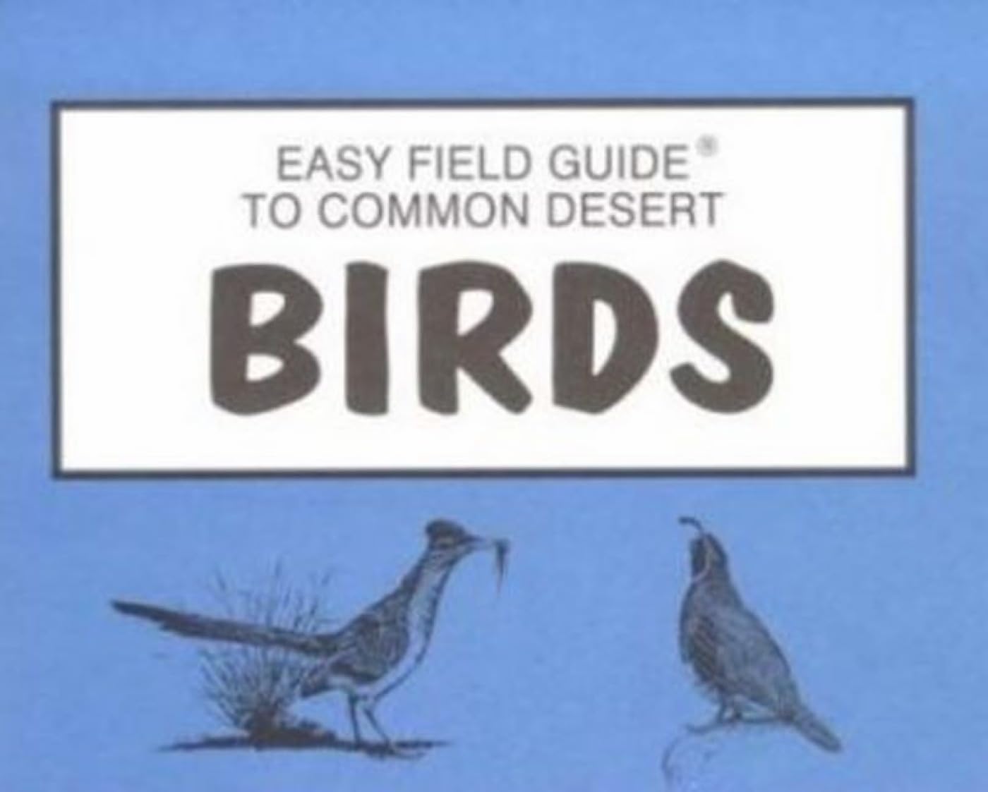 Easy Field Guide to Common Desert Birds - Identify & Learn About Desert Birds for Birdwatching & Outdoor Adventures