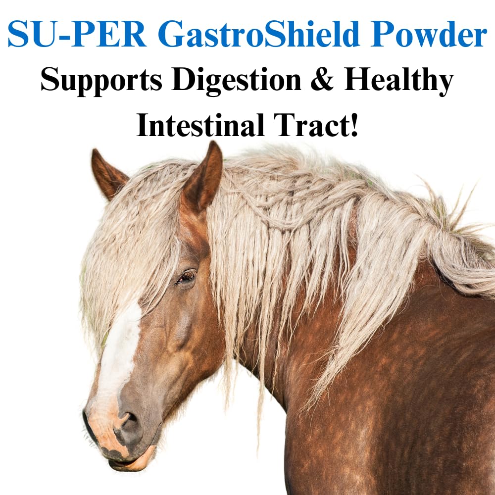 GastroShield Equine Probiotics Powder for Horses - 4lb Digestive Health Supplement | Supports Gastric & Intestinal Tract | 2 Month Supply | Ideal for Performance Horses, Senior Horses & Digestive Issues
