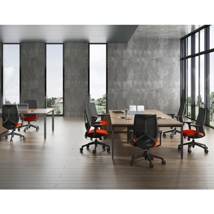 Friant Ignite Mesh Task Chair FD00253 - Ergonomic Office Chair with Adjustable Height & Lumbar Support for Home & Office Workspaces