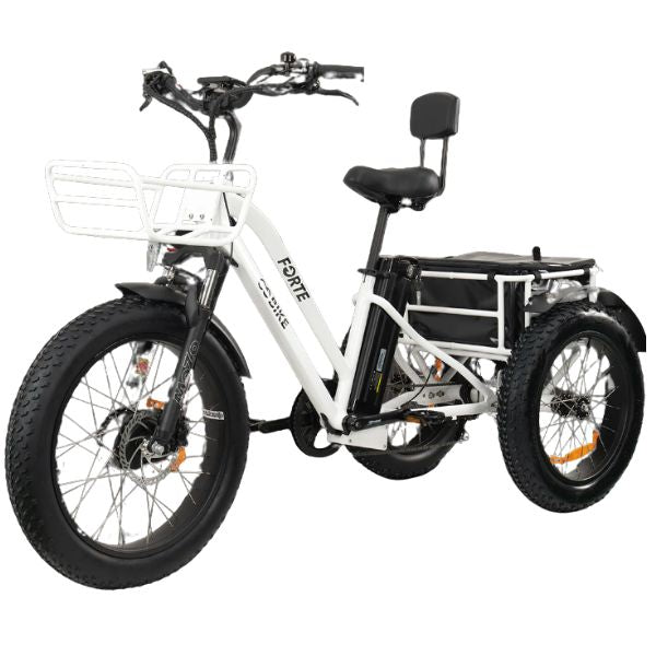 Go Bike FORTE Electric Tricycle for Adults - 750W Motor, 48V 15Ah Battery, 25MPH Speed - Perfect for Commuting, Grocery Shopping & Senior Mobility