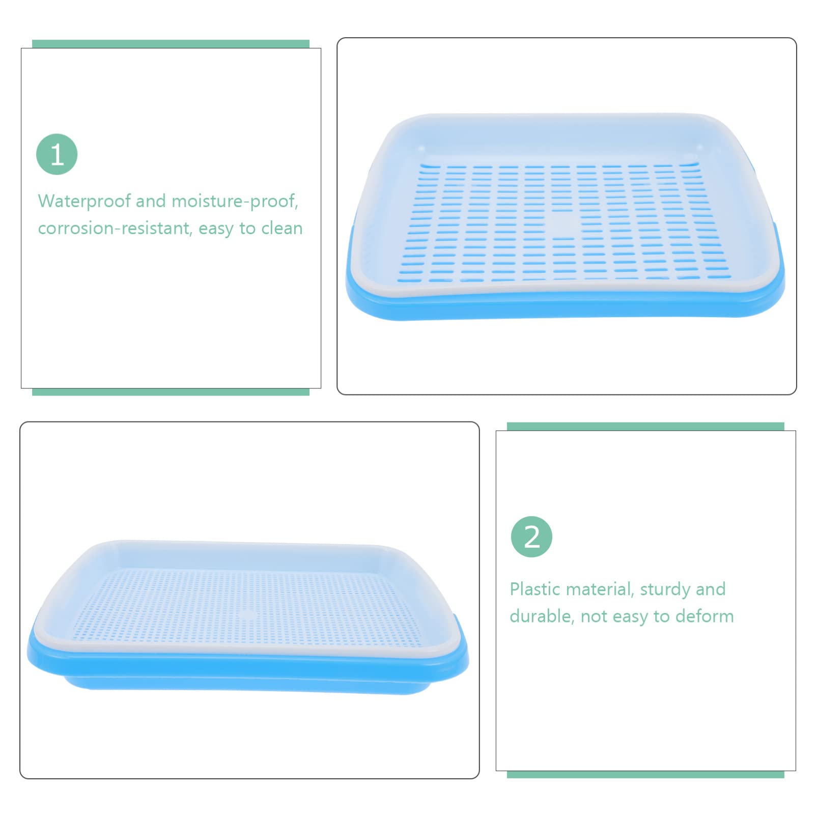 Organic Wheatgrass Sprouting Kit - 1 Set Mini Hydroponic Propagator Tray with Plastic Clamshell for Seed Germination | Indoor Gardening, Microgreens Growing, Healthy Salad & Juice Making