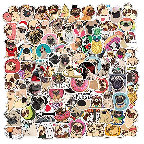 Pug Dog