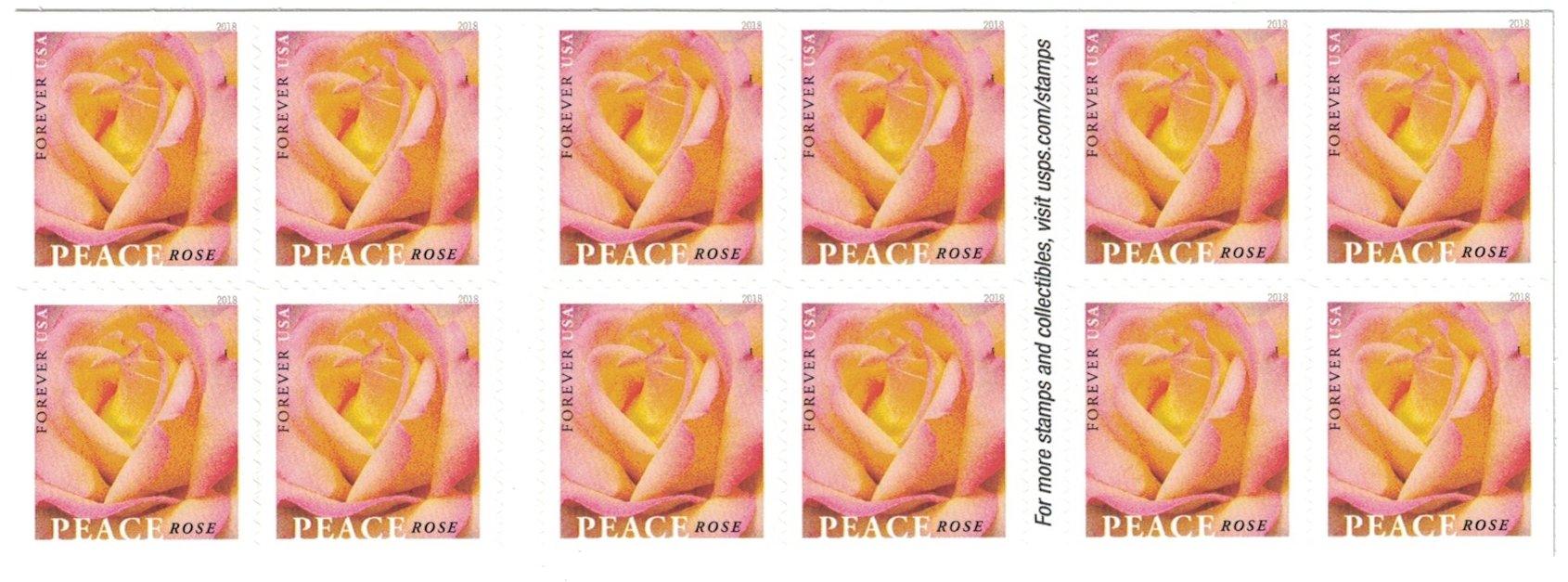 Peace Rose USPS Forever Stamps - 5 Booklets (100 Stamps) for Mailing Letters, Greeting Cards & Postcards | First-Class Postage | Collectible Stamps