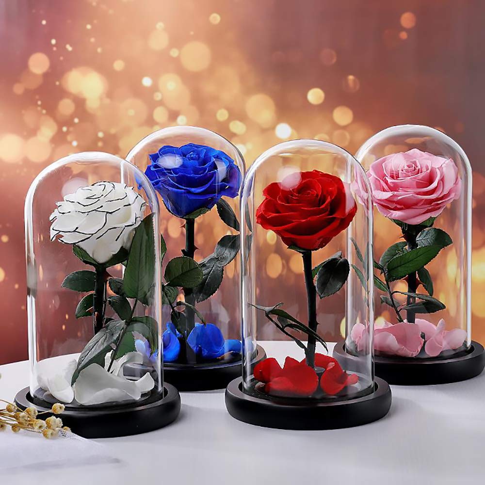 Real Preserved Pink Rose in Glass Dome - Eternal Fresh Flower Gift for Valentine's Day, Birthday, Mother's Day, Christmas & Anniversaries (1PC) - Perfect for Home Decor, Wedding Centerpieces & Romantic Surprises