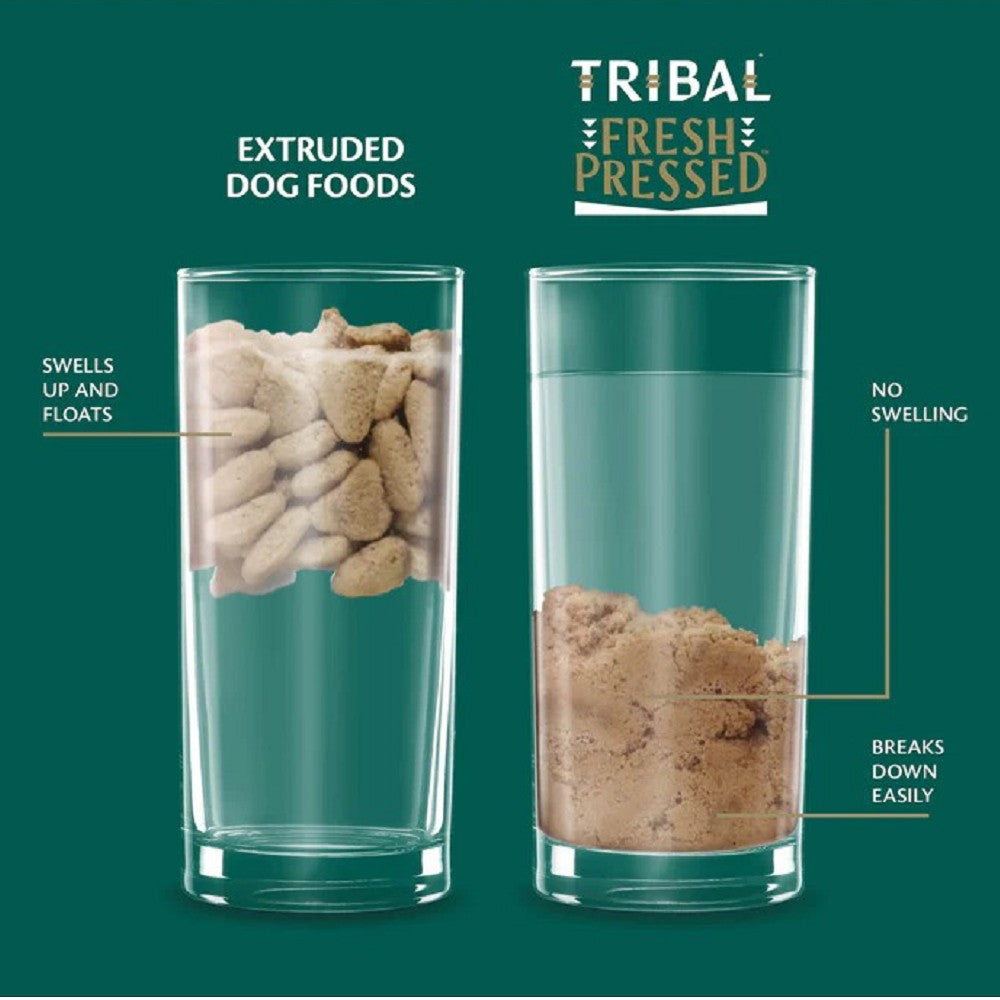 Premium Cold-Pressed Chicken Adult Dog Dry Food - High Protein Grain-Free Kibble for Healthy Skin & Coat - Ideal for Active Dogs & Daily Nutrition
