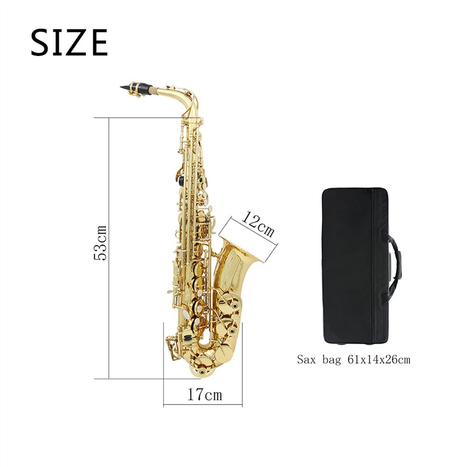 EB Alto Saxophone for Beginners - Brass Gold Lacquer E Flat Sax Woodwind Instrument with Case, Gloves & Cleaning Kit | Perfect for School Bands, Jazz Ensembles & Music Practice