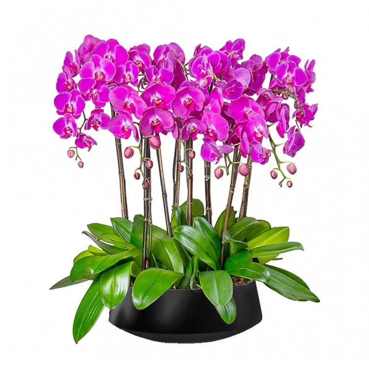 8 Stems Pink Orchids - Fresh Artificial Silk Flowers for Home Decor, Wedding Centerpieces & Office Arrangements