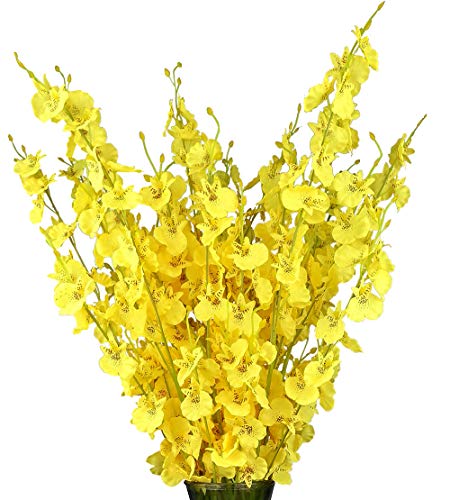 Yellow-28''-pack of 11
