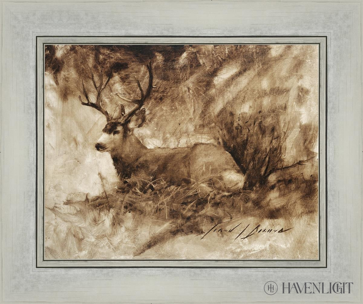 Bedded Buck By Jared Barnes - Premium Hunting & Outdoor Gear for Camping, Hiking & Adventure Enthusiasts