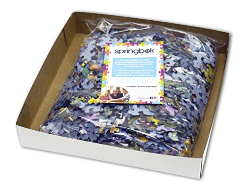 Springbok 1000 Piece Jigsaw Puzzle - Collector's Closet - Premium Quality Puzzle for Adults & Teens - Perfect for Family Game Nights, Relaxation & Home Decor