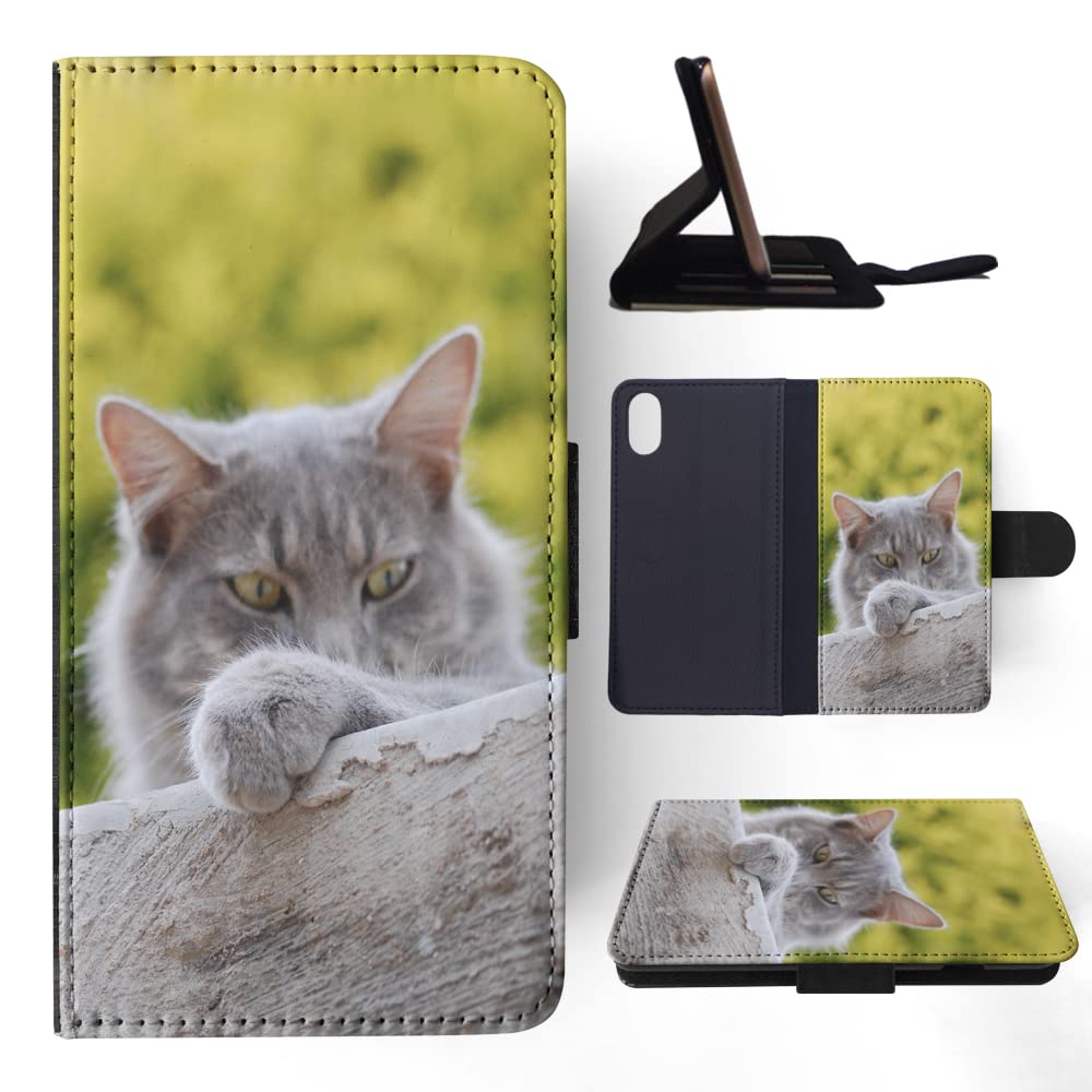 Cute Grey Cat Kitten Feline Flip Wallet Phone Case Cover for Apple iPhone X & iPhone Xs | Slim Protective Card Holder | Perfect for Cat Lovers & Everyday Use