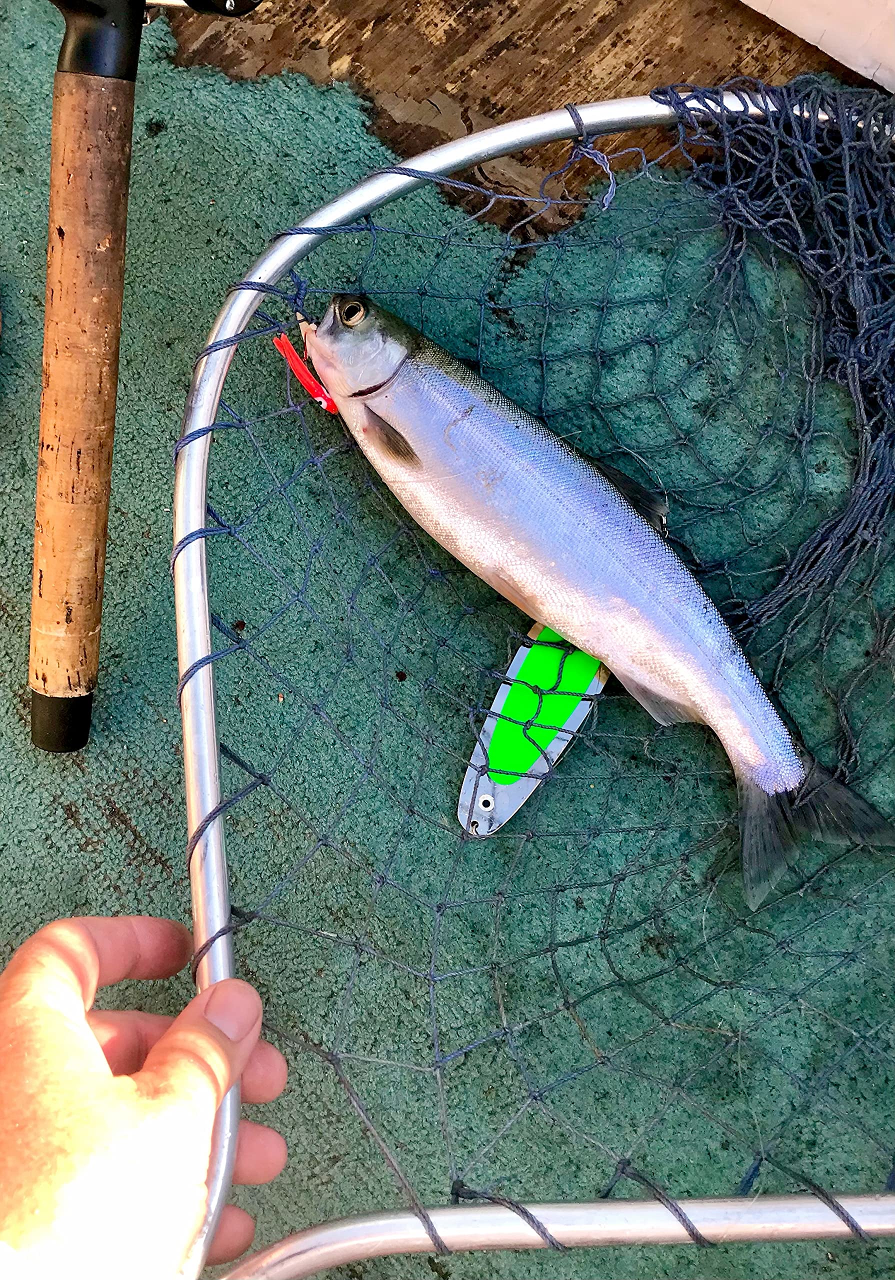 Kokanee Hoochies Fishing Lures (2-Pack) - UV 