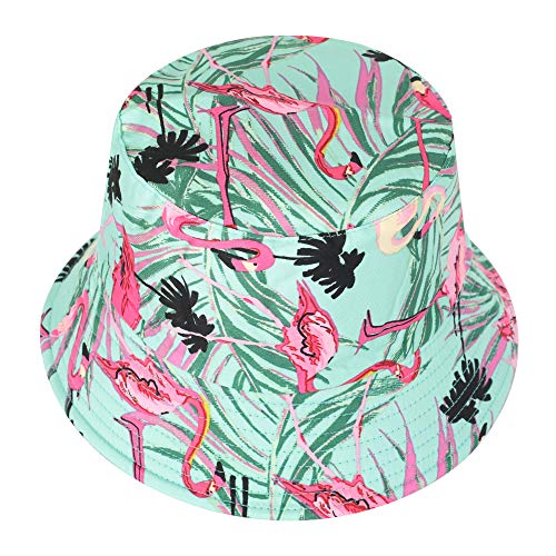 Flamingos