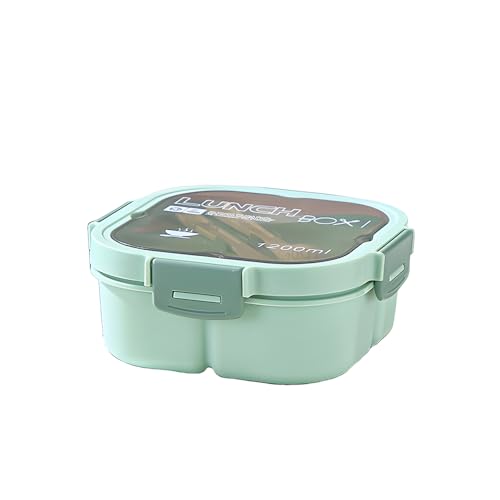 Scatola Per Il Pranzo Quadrata Verde Chiaro