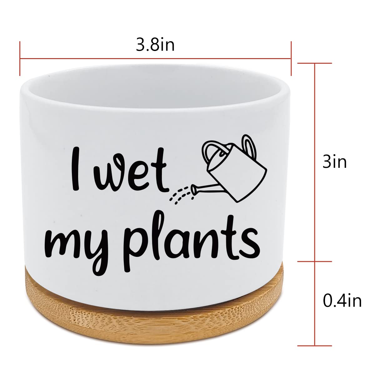 Funny Ceramic Succulent Cactus Planter Pot - 'I Wet My Plants' White Mini Cactus Flower Pot for Office, Home, Garden Decor - Perfect Gift for Teachers, Moms, Grandmas & Plant Lovers (Plant Not Included) - Great for Desk Decor, Windowsill Decor, Housewarming Gifts & Plant Enthusiast Presents