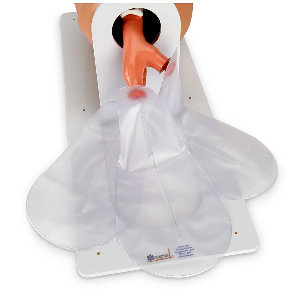 Professional Adult Airway Management Trainer with Board - CPR First Aid Training Manikin for Medical Students & Healthcare Professionals - Perfect for EMT, Nursing, and Emergency Response Practice