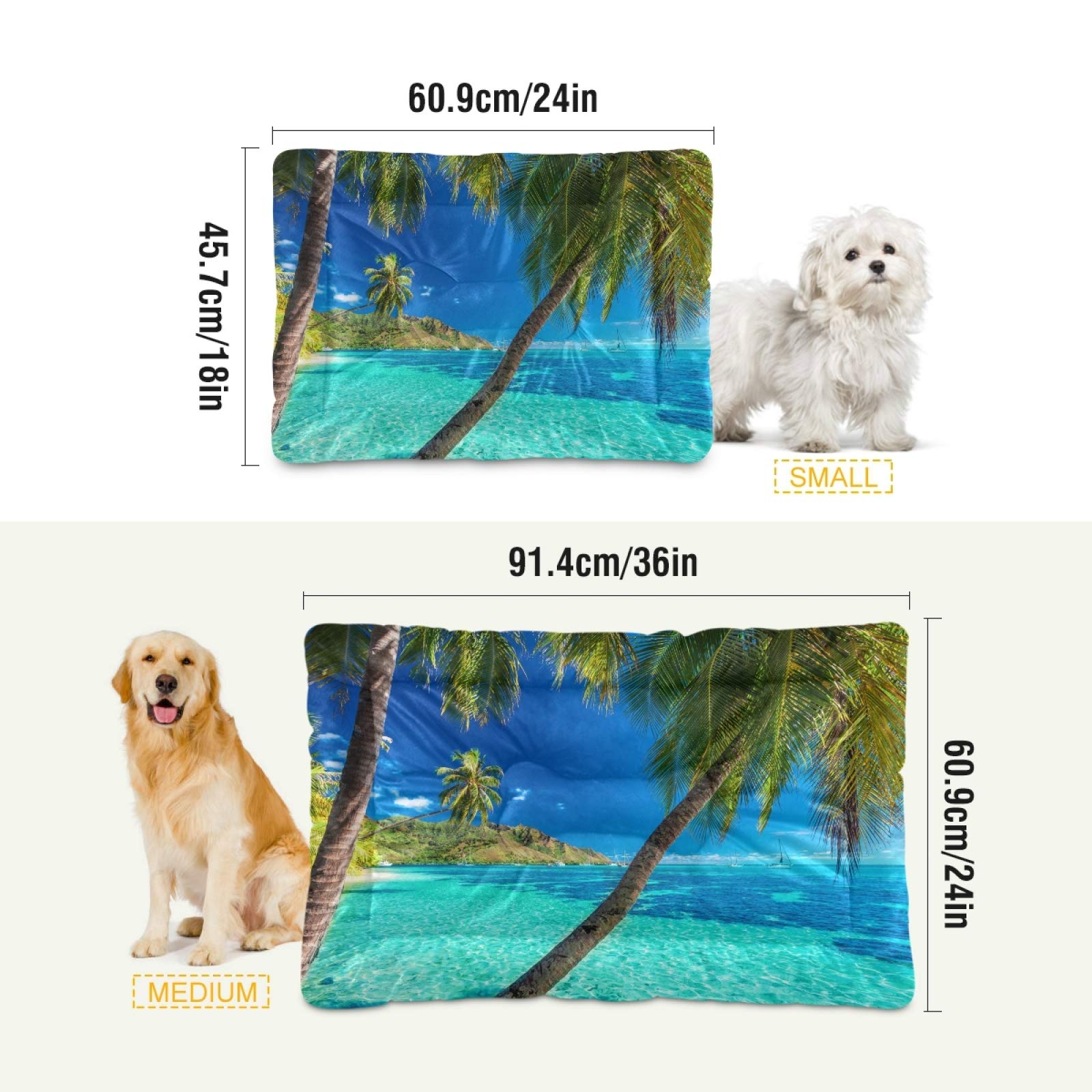 Tropical Beach Palm Trees Pet Bed - Ultra Soft Rectangle Dog & Cat Bed for Small to Medium Pets, Calming Comfort (24x18 Inches) - Perfect for Home, Office, or Travel Use