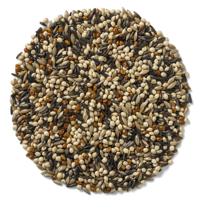 Wild Delight Premium Outdoor Finch Wild Bird Seed - 5 lb Bag for Wild Birds | Attract Finches to Your Backyard Garden & Bird Feeders