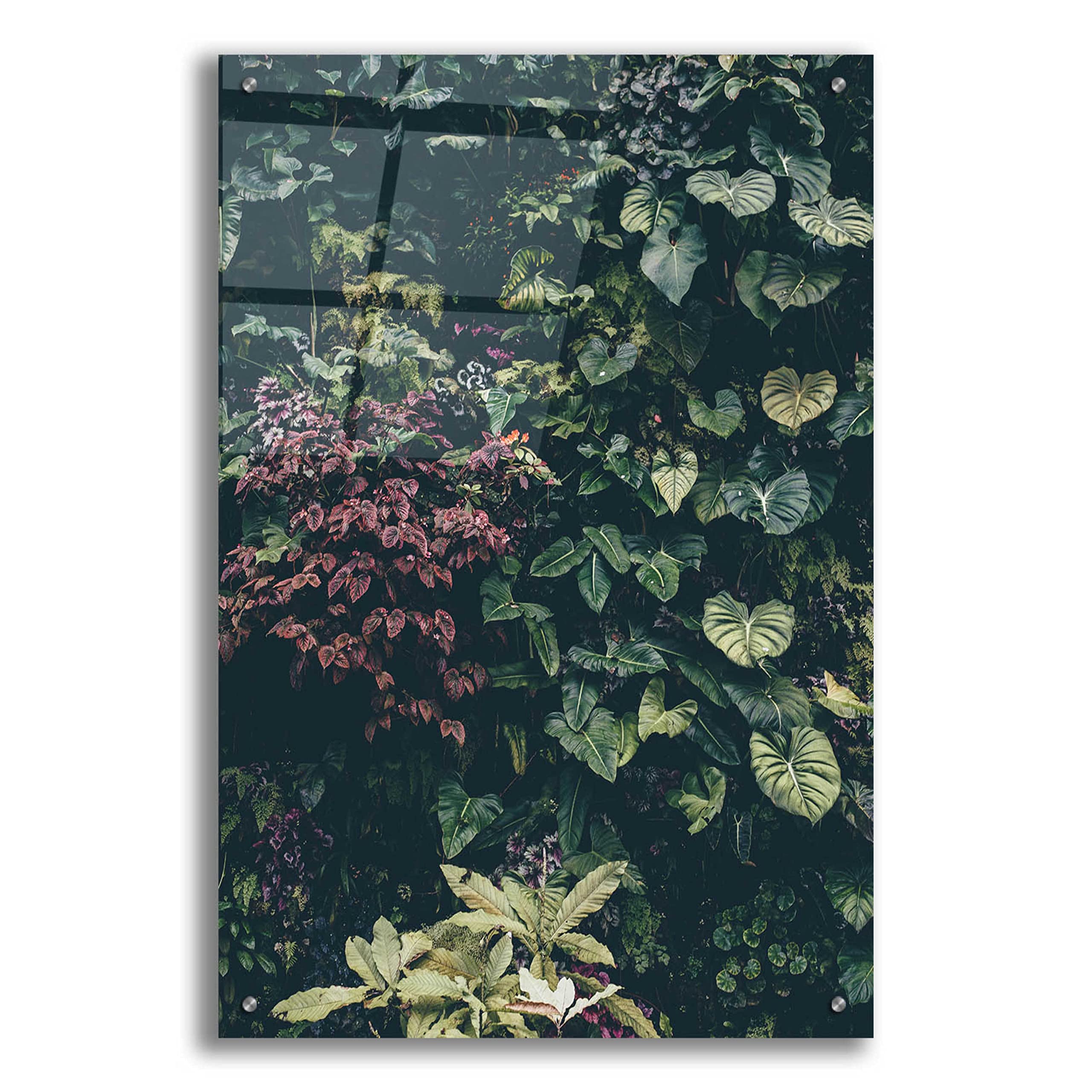 Epic Art 'Plant Wall' by Design Fabrikken - 24x36 Inch Modern Acrylic Glass Wall Decor - Perfect for Living Room, Bedroom & Office Decorations