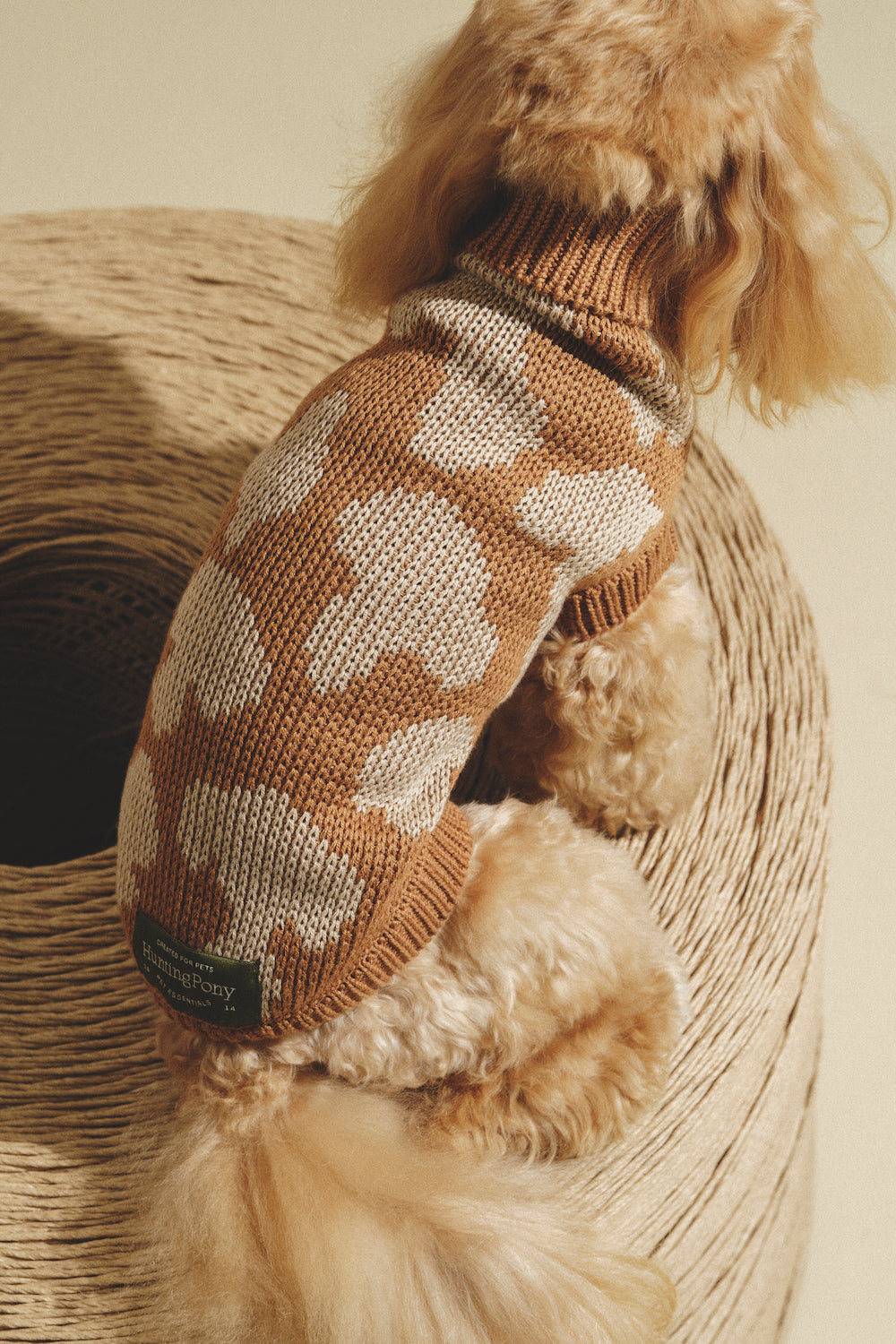 Dog Cardigan - Soft Pony Cotton Knit Sweater for Small Dogs - Cozy Winter Outfit for Indoor & Outdoor Use