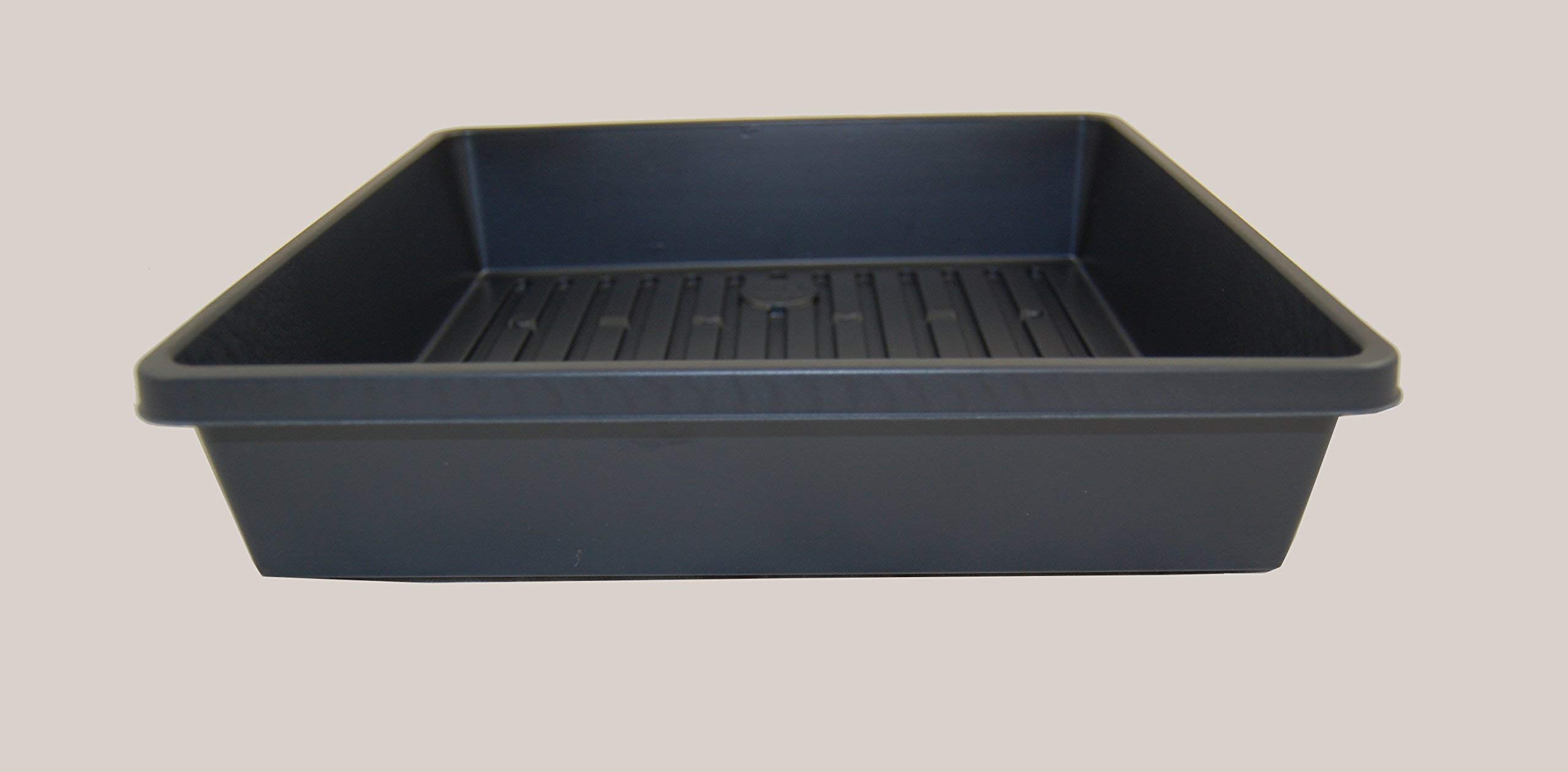 Organic Wheatgrass Growing Trays - 10 Pack, 10.5