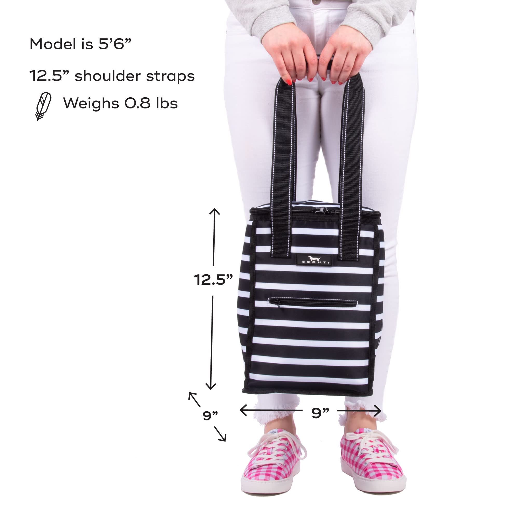 SCOUT Insulated Soft Lightweight Cooler - Holds 5 Wine Bottles, Perfect for Beach, Pool, Boat, Picnic & Outdoor Adventures - Portable Cooler for Drinks, Food & Beverages