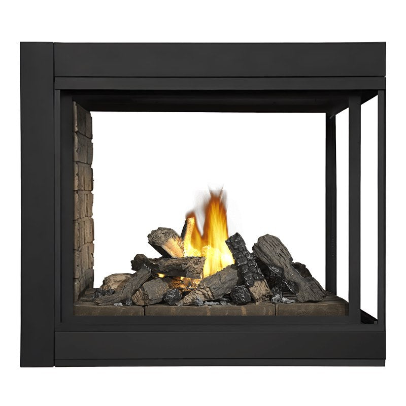 Napoleon Ascent Multi-Sided See-Through Direct Vent Gas Fireplace - BHD4 Model | Perfect for Living Rooms, Patios & Modern Home Decor