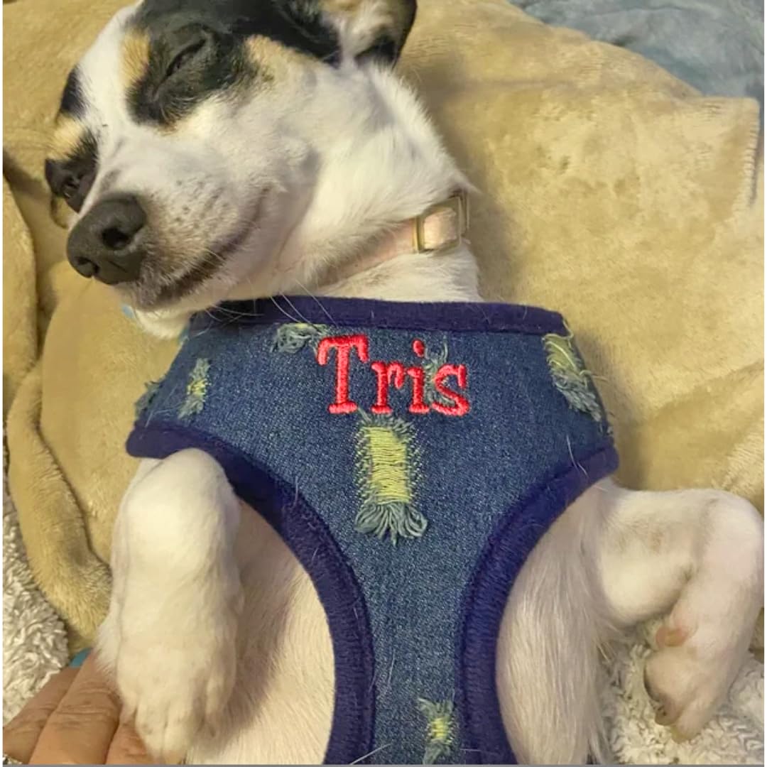 Custom Embroidered Dog Harness - Adjustable Soft Padded Denim Pet Vest for Small to Large Dogs | No-Pull Design | Made in USA (X-Small) | Perfect for Walks, Training & Outdoor Adventures