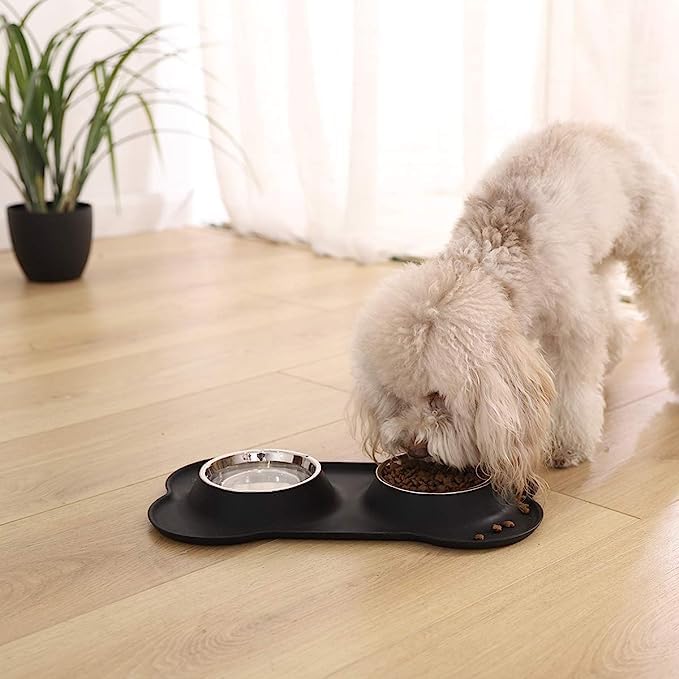 TERXA Non-Slip Pet Bowl Set - Stainless Steel Food & Water Dish for Dogs & Cats - Home & Travel Use