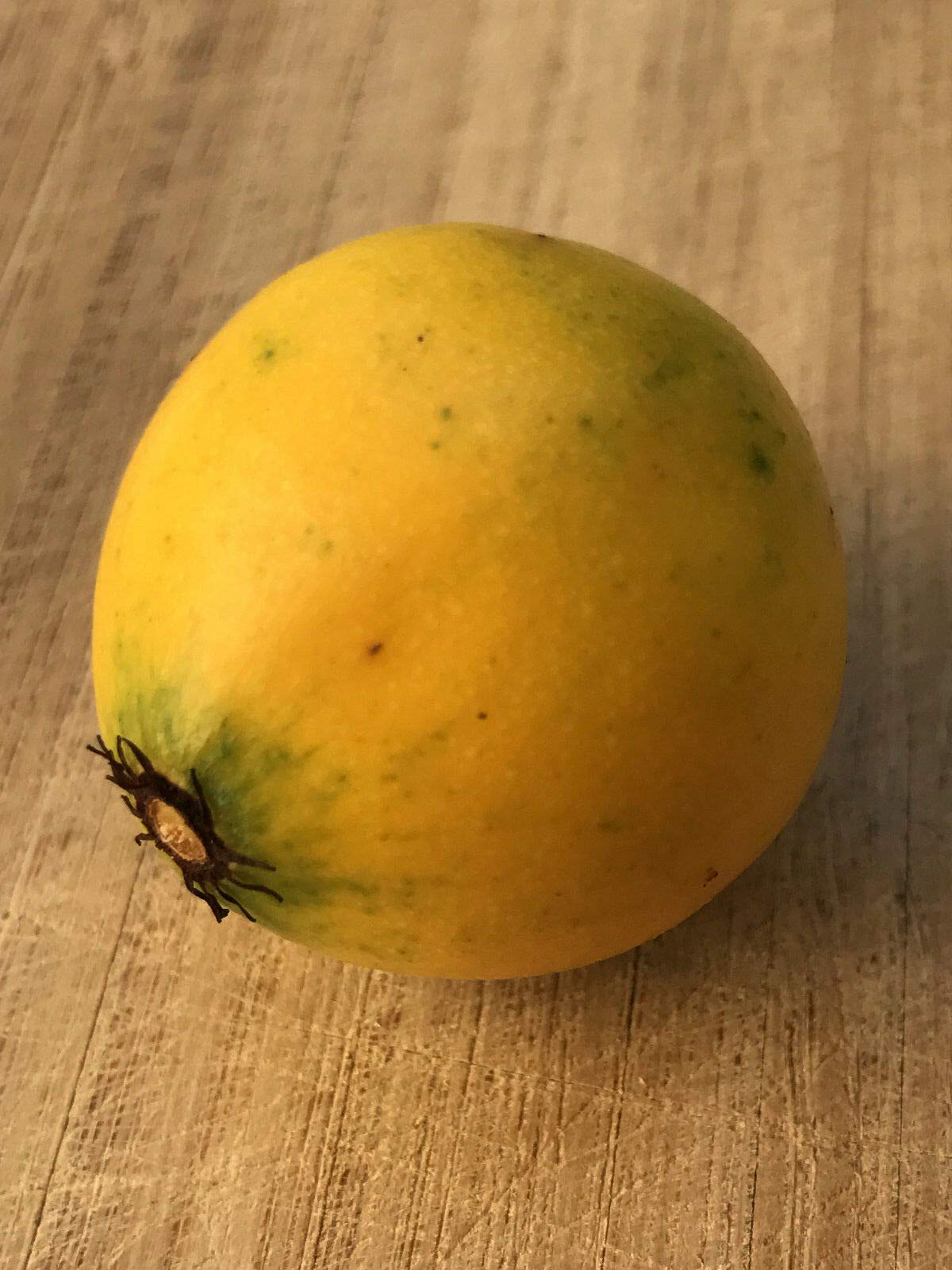 Lemon Drop Mangosteen Garcinia Intermedia Yellow Tropical Fruit Tree Plant - Rare Exotic Fruit Tree for Home Garden & Landscaping - Perfect for Tropical Climate Gardens, Backyard Orchards, and Fresh Fruit Lovers