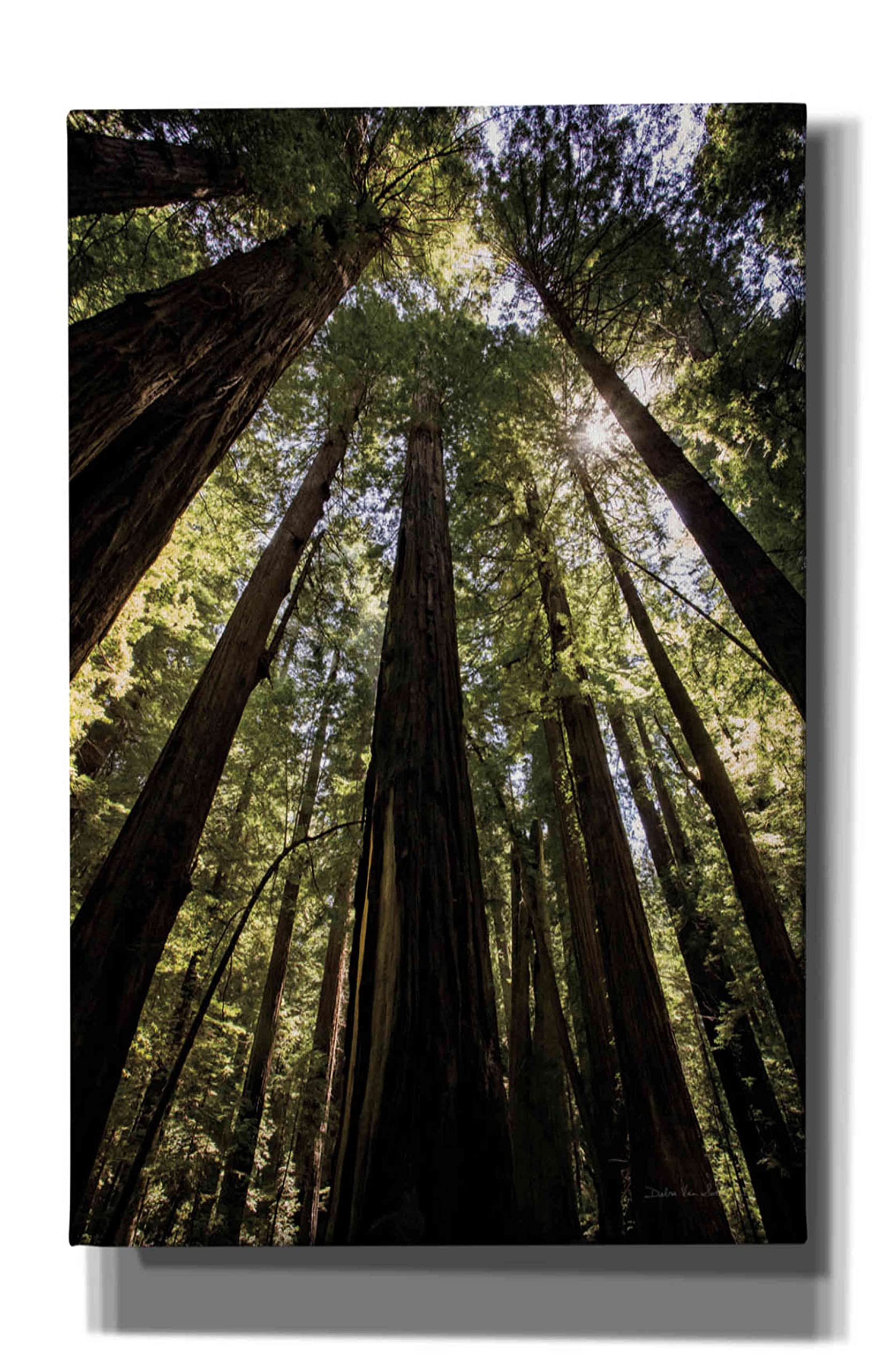 Epic Graffiti 'The Stand' by Debra Van Swearingen - 26x40 Inch Modern Canvas Wall Art for Living Room, Bedroom & Office Decor | Vibrant Abstract Painting for Home & Commercial Spaces