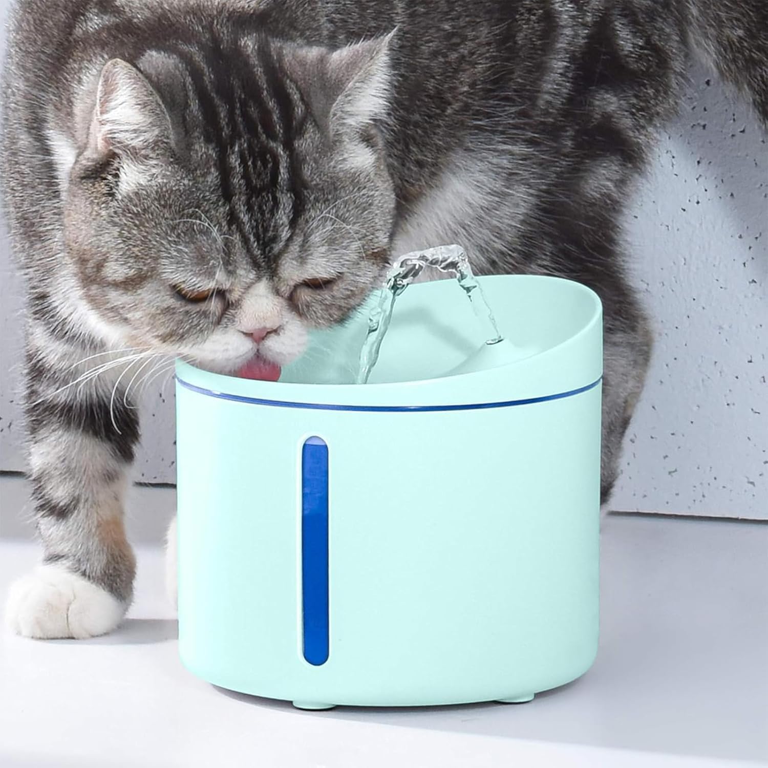 Automatic Cat Feeder with App & Water Dispenser Combo - 2 Pack Smart Pet Feeder for Small & Medium Cats, Kittens & Puppies - Perfect for Home, Office & Travel Use