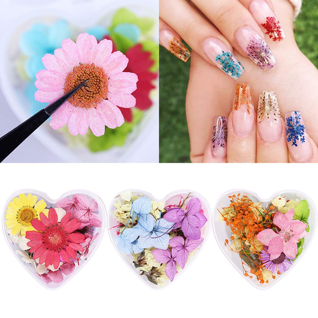 SOWUNO 3D Pressed Flower Nail Art Kit - 3 Box Mini Dried Real Flowers for DIY Nail Decoration | Perfect for Nail Salon, Home Manicure & Creative Nail Designs