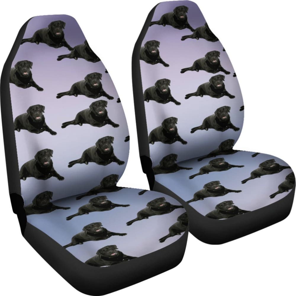 Premium Black Lab Car Seat Cover - Waterproof & Nonslip Pet Seat Protector for Dogs - Perfect for Travel, Hiking, and Daily Commutes