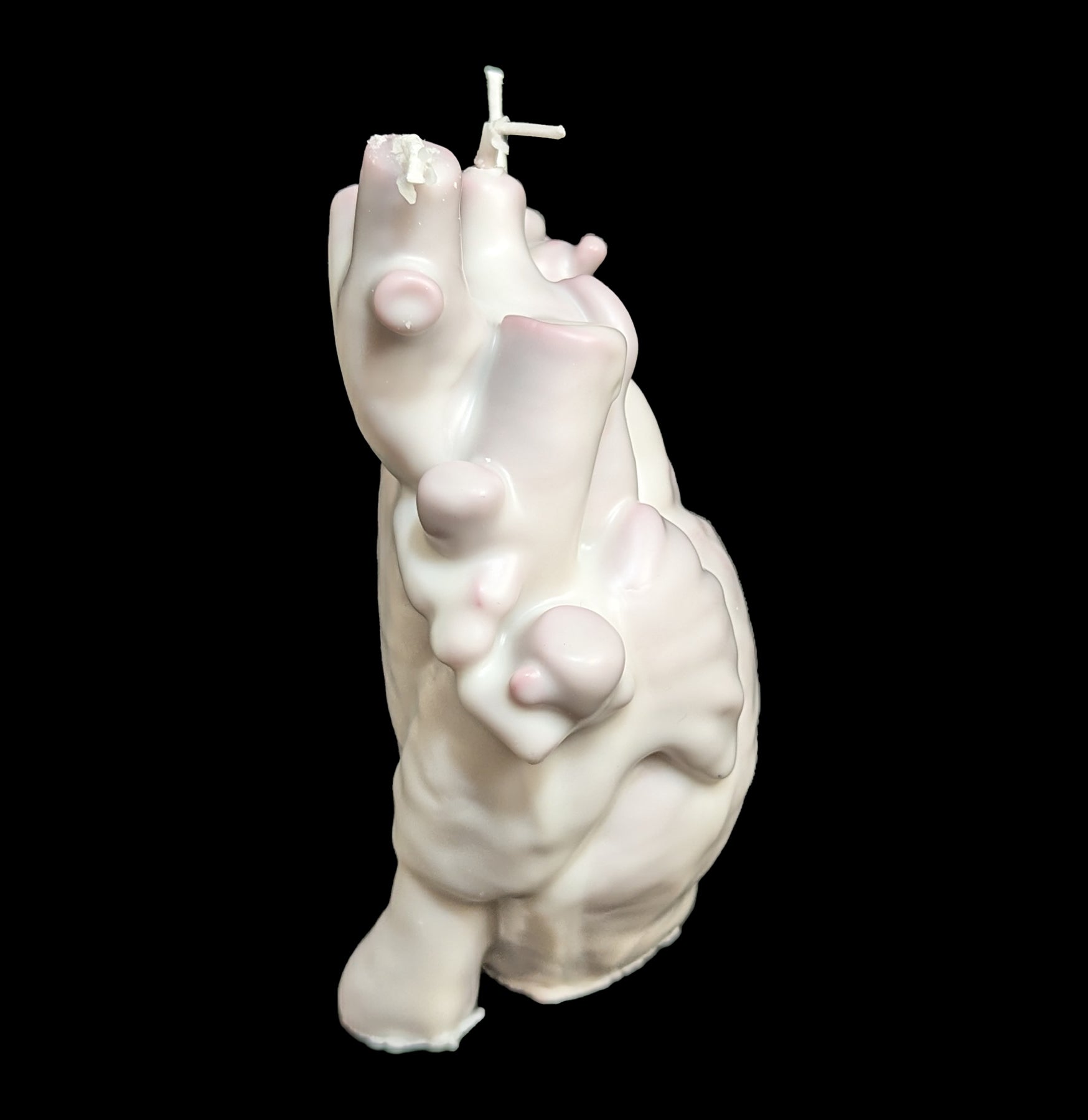 Realistic Bleeding Anatomical Heart Candle - Handmade Soy Wax Decoration for Halloween, Gothic Parties & Dark Aesthetic Home Decor
