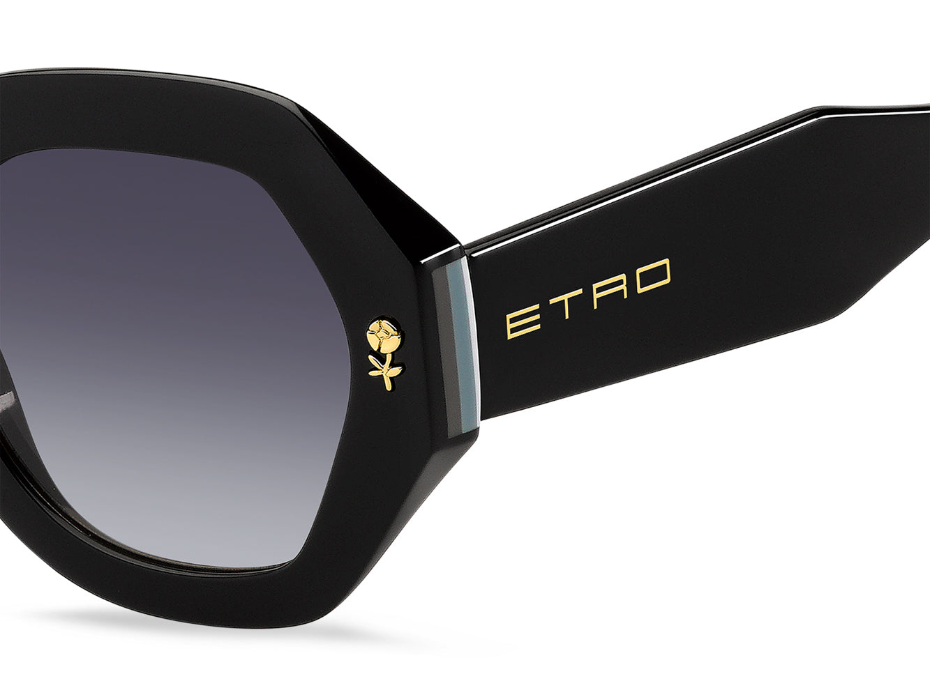 Etro 0009 S - Premium Luxury Sunglasses for Men & Women | UV Protection, Stylish Design | Perfect for Outdoor Activities, Travel & Fashion Statements