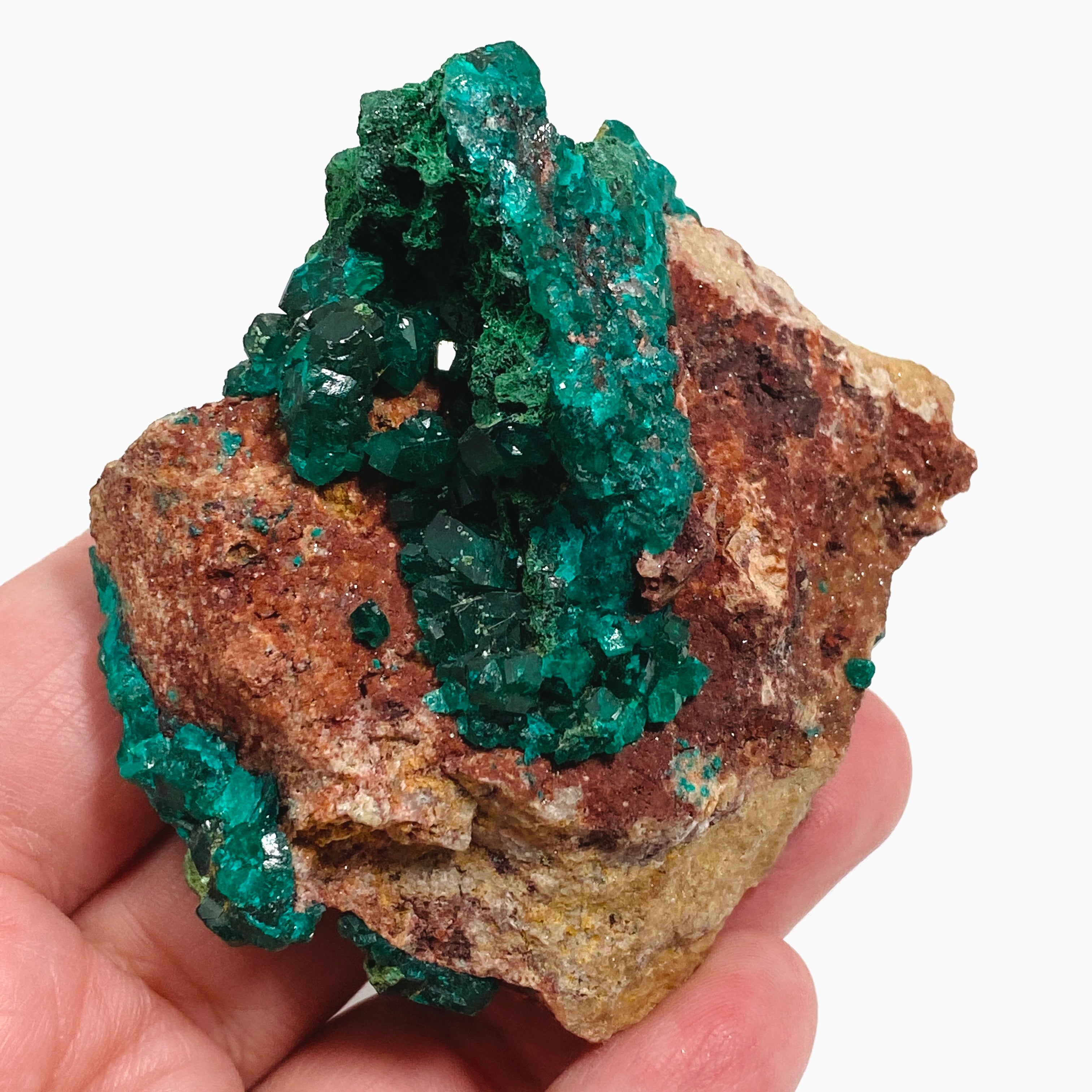 Natural Dioptase with Malachite Crystal Specimen from Congo CR3746 - Perfect for Mineral Collectors & Home Decor